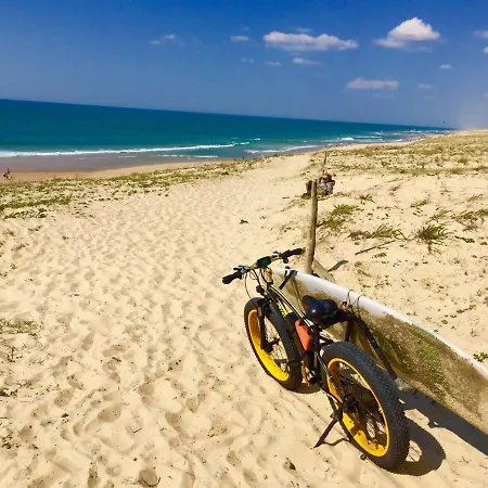 40 **** Golf Surf A Pieds *